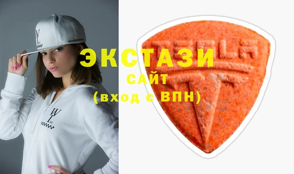 СК Алексин