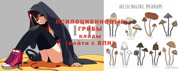 СК Алексин