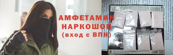 СК Алексин