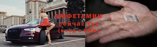 СК Алексин