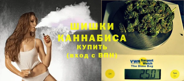 молекула духа Алзамай