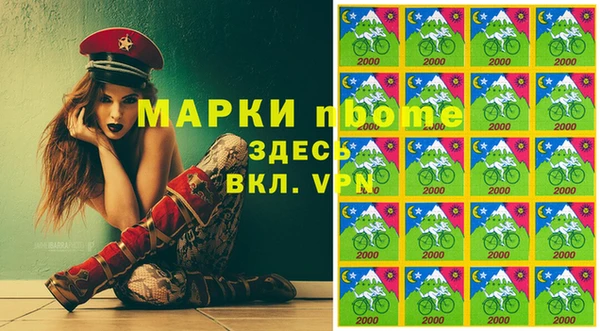 СК Алексин