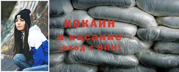 СК Алексин