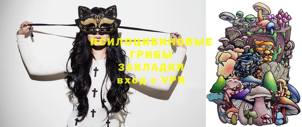 стафф Алексеевка